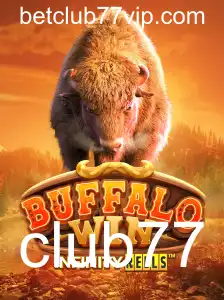 Descubra o Mundo de BuffaloWin: Um Jogo Empolgante