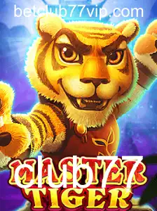 Descubra o Fascinante Mundo de MasterTiger e as Suas Regras Inovadoras